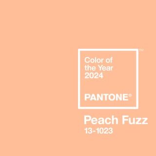 Colour Of The Year 2024