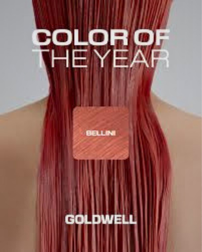 TRENDING HAIR COLOURS AT BEST HAIRDRESSING SALON IN BUCKINGHAMSHIRE TRENDING HAIR COLOURS AT BEST HAIRDRESSING SALON IN BUCKINGHAMSHIRE